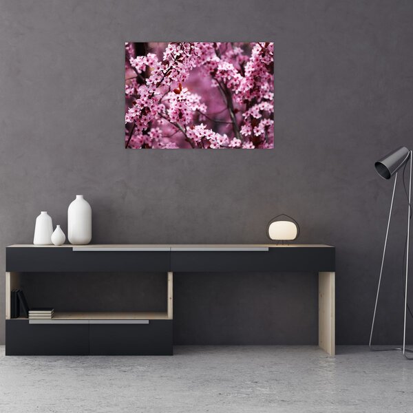 Tablou - Sakura roz (70x50 cm)