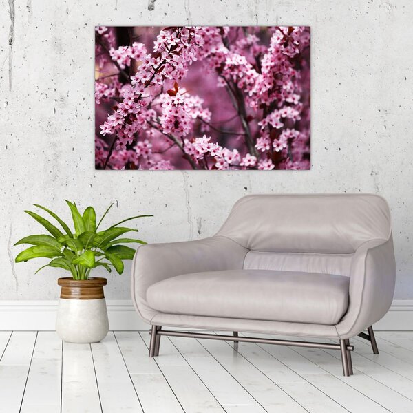 Tablou - Sakura roz (90x60 cm)