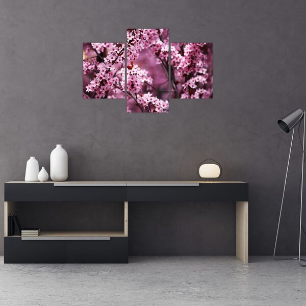 Tablou - Sakura roz (90x60 cm)