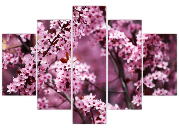 Tablou - Sakura roz (150x105 cm)