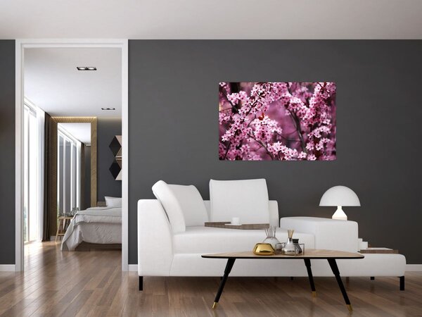 Tablou - Sakura roz (90x60 cm)
