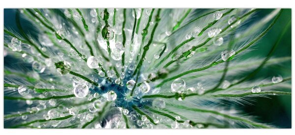 Tablou - Imagine macro a unei flori (120x50 cm)