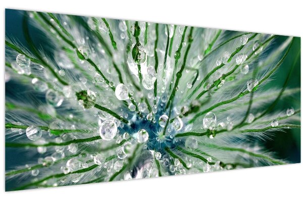 Tablou - Imagine macro a unei flori (120x50 cm)