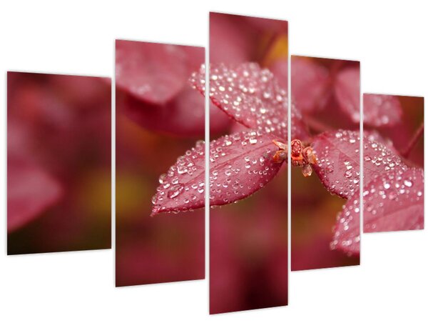 Tablou - Imagine macro a biletului (150x105 cm)