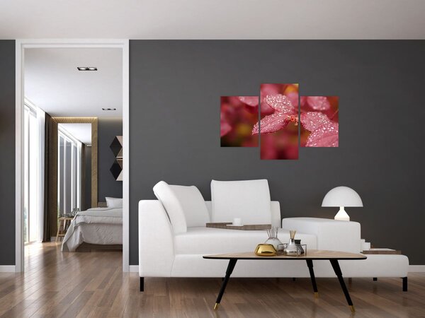 Tablou - Imagine macro a biletului (90x60 cm)