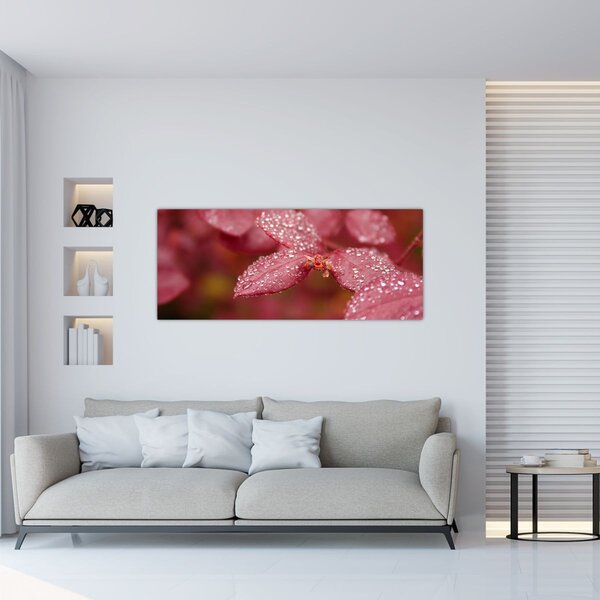 Tablou - Imagine macro a biletului (120x50 cm)