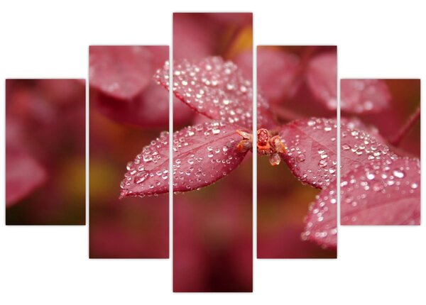 Tablou - Imagine macro a biletului (150x105 cm)