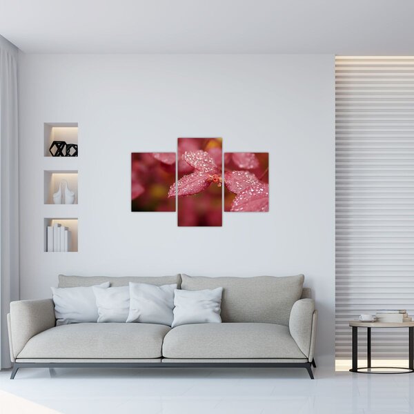 Tablou - Imagine macro a biletului (90x60 cm)