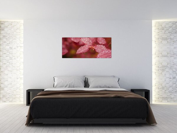 Tablou - Imagine macro a biletului (120x50 cm)