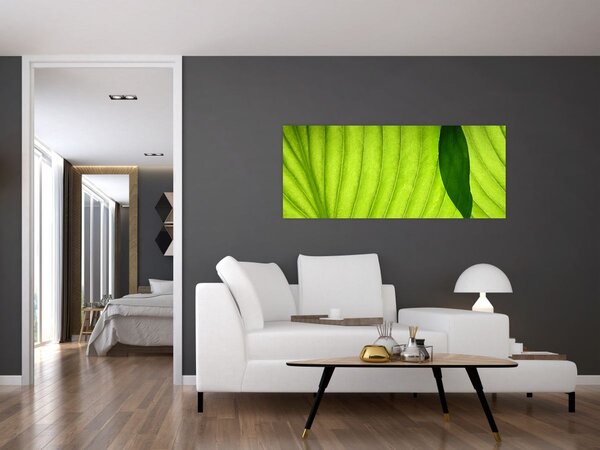 Tablou - Detaliu de frunză verde (120x50 cm)