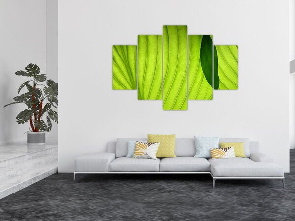 Tablou - Detaliu de frunză verde (150x105 cm)