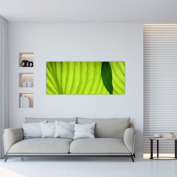 Tablou - Detaliu de frunză verde (120x50 cm)