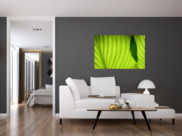 Tablou - Detaliu de frunză verde (90x60 cm)
