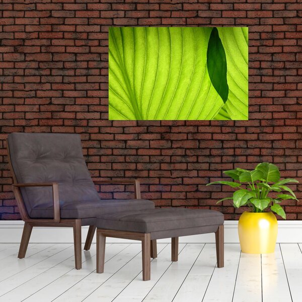 Tablou - Detaliu de frunză verde (90x60 cm)