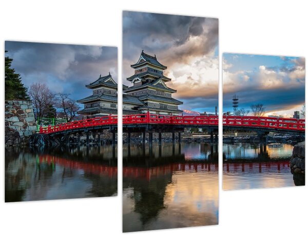 Tablou - Japonia (90x60 cm)