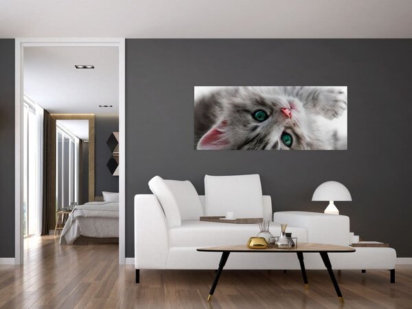 Tablou - Pisica cu ochi verzi (120x50 cm)