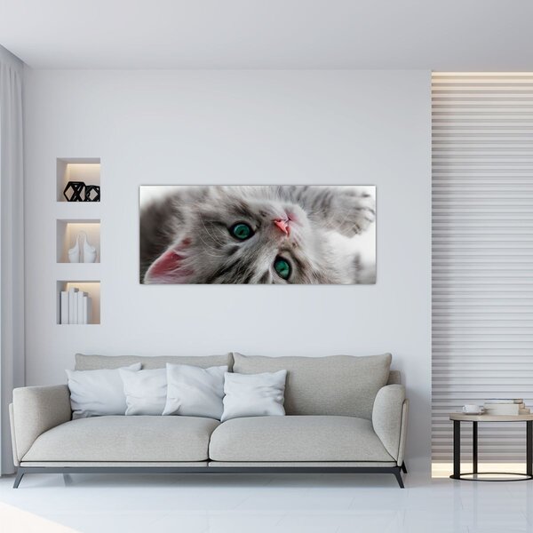 Tablou - Pisica cu ochi verzi (120x50 cm)