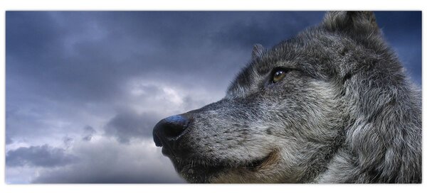 Tablou - Cap de lup (120x50 cm)