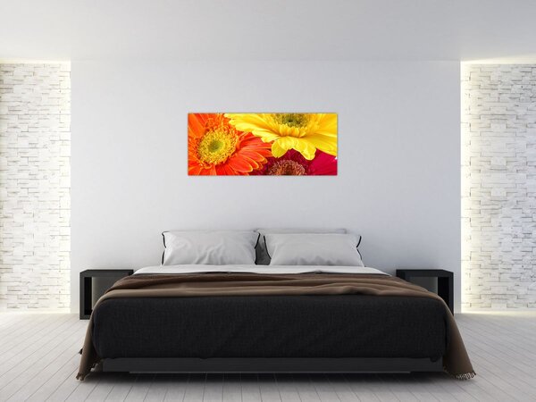 Tablou - Flori Gerbery (120x50 cm)