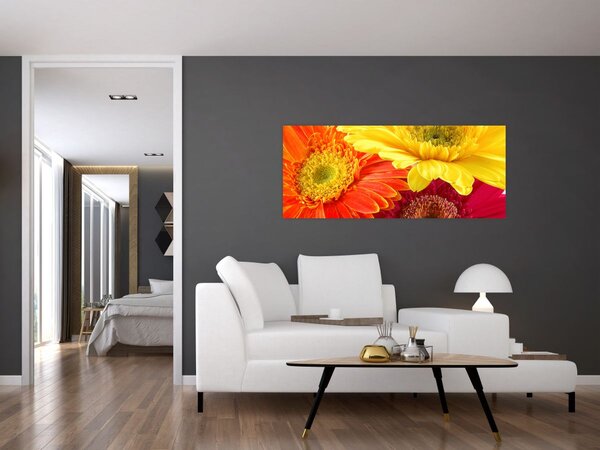 Tablou - Flori Gerbery (120x50 cm)