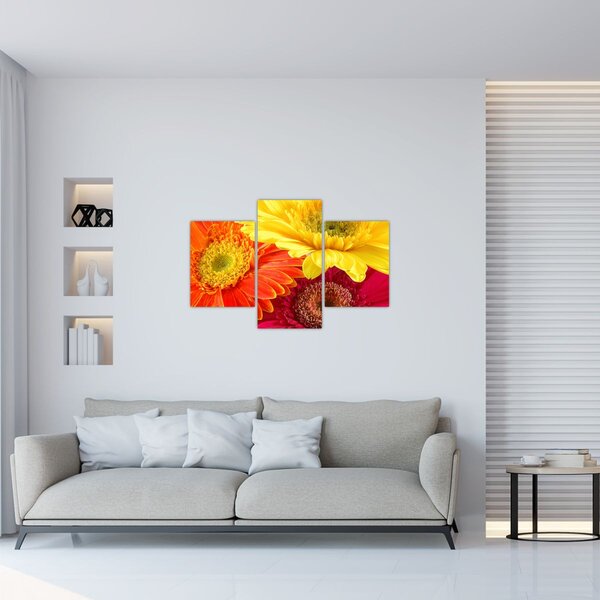 Tablou - Flori Gerbery (90x60 cm)