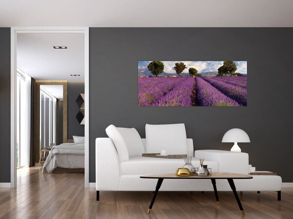 Tablou - câmp de lavandă și munți (120x50 cm)