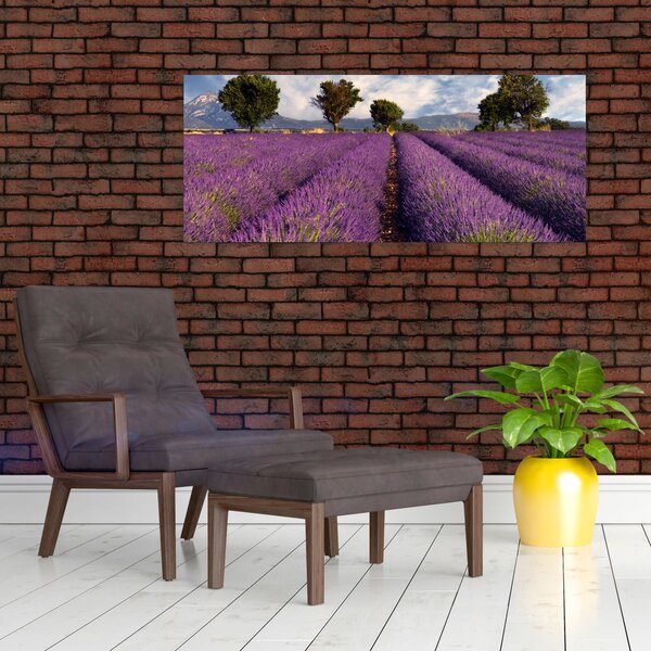 Tablou - câmp de lavandă și munți (120x50 cm)