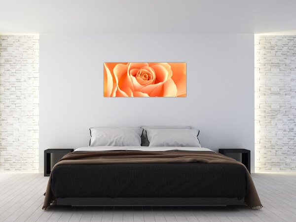 Tablou - Imaginea- Trandafiri, culoarea caisei (120x50 cm)