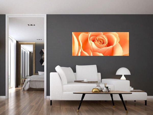Tablou - Imaginea- Trandafiri, culoarea caisei (120x50 cm)