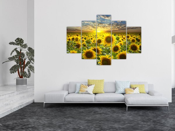 Tablou - Floarea-soarelui la apus de soare (150x105 cm)