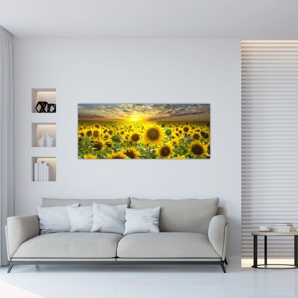 Tablou - Floarea-soarelui la apus de soare (120x50 cm)
