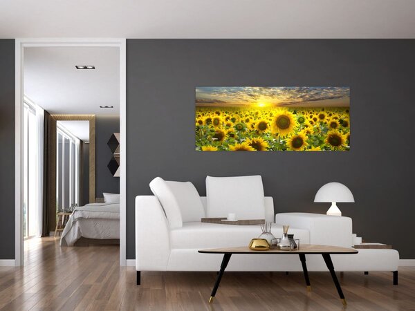 Tablou - Floarea-soarelui la apus de soare (120x50 cm)