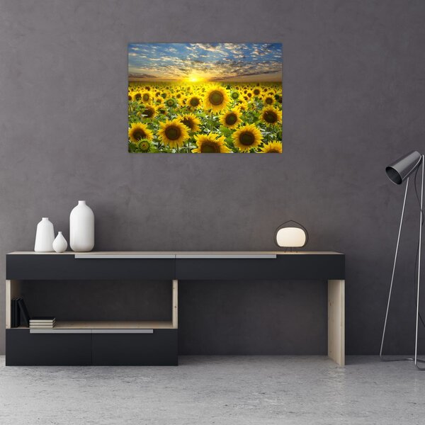 Tablou - Floarea-soarelui la apus de soare (70x50 cm)