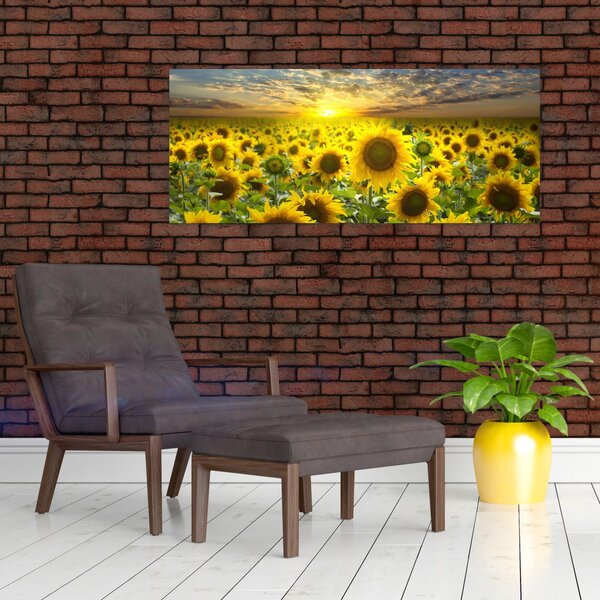 Tablou - Floarea-soarelui la apus de soare (120x50 cm)