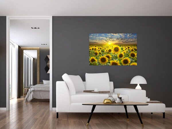 Tablou - Floarea-soarelui la apus de soare (90x60 cm)