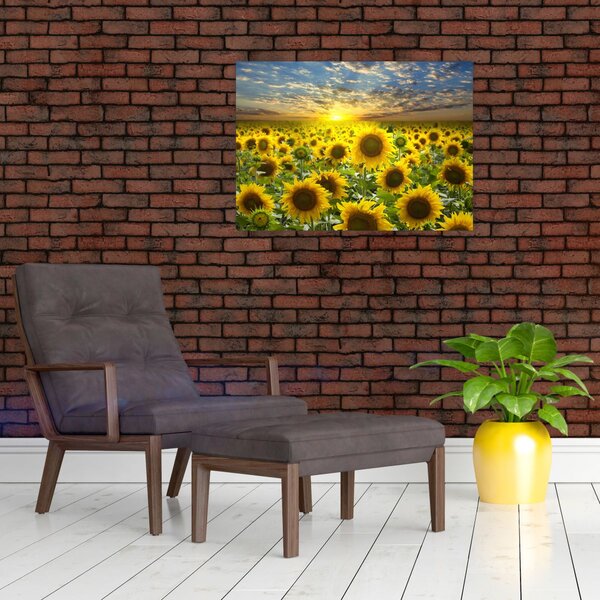 Tablou - Floarea-soarelui la apus de soare (70x50 cm)