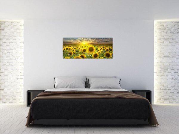 Tablou - Floarea-soarelui la apus de soare (120x50 cm)