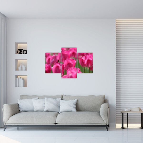 Tablou - Lalele roz (90x60 cm)