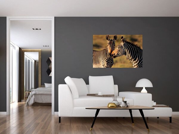 Tablou - Două zebre (90x60 cm)