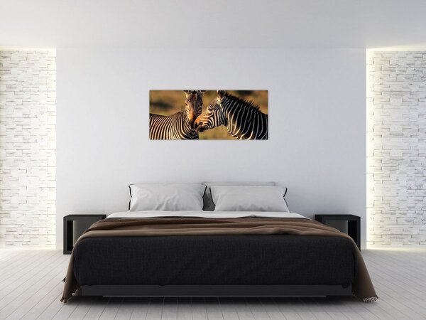 Tablou - Două zebre (120x50 cm)