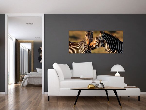 Tablou - Două zebre (120x50 cm)