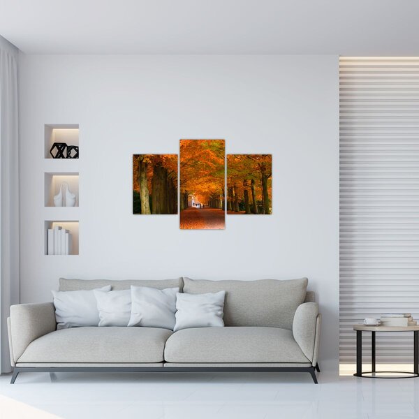 Tablou - Bulevardul de copaci în toamnă (90x60 cm)
