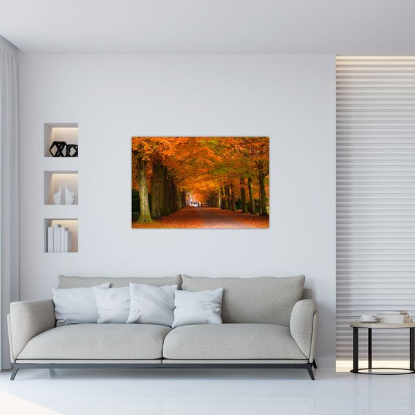 Tablou - Bulevardul de copaci în toamnă (90x60 cm)