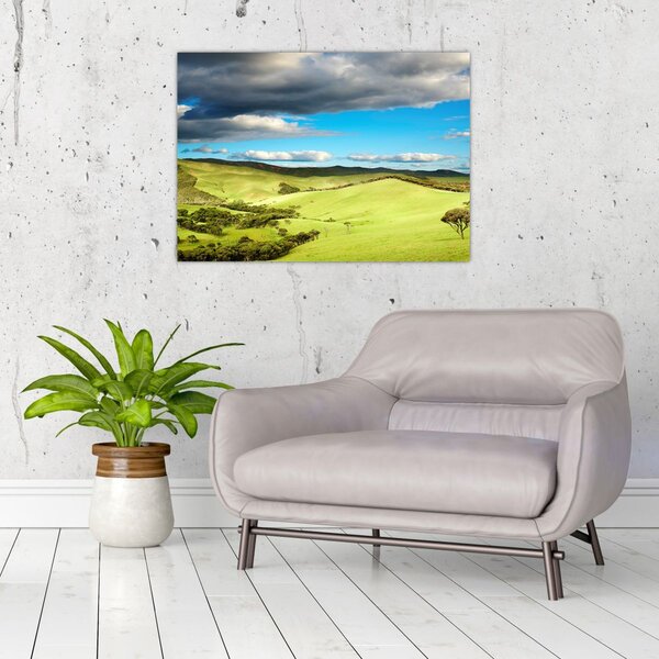 Tablou - Peisaj verde cu dealuri (70x50 cm)