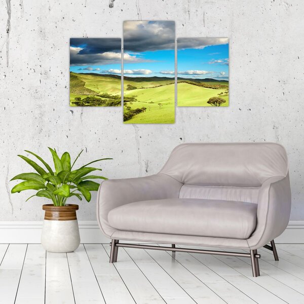 Tablou - Peisaj verde cu dealuri (90x60 cm)