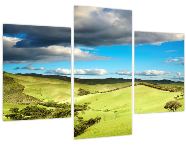 Tablou - Peisaj verde cu dealuri (90x60 cm)