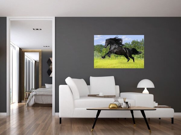 Tablou - Cal cu o coamă curgătoare (90x60 cm)