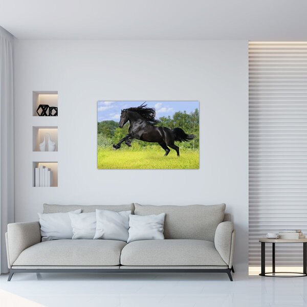 Tablou - Cal cu o coamă curgătoare (90x60 cm)