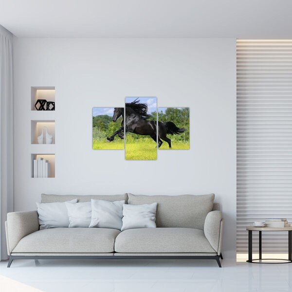 Tablou - Cal cu o coamă curgătoare (90x60 cm)