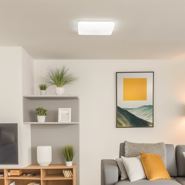 Brilagi - Plafonieră LED dimabilă OPAL, 24W, 230V, 3000/4000/6500K + telecomandă